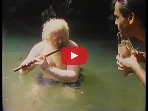 Hermeto Pascoal - Música da Lagoa (Sinfonia do Alto Ribeira, 1985)